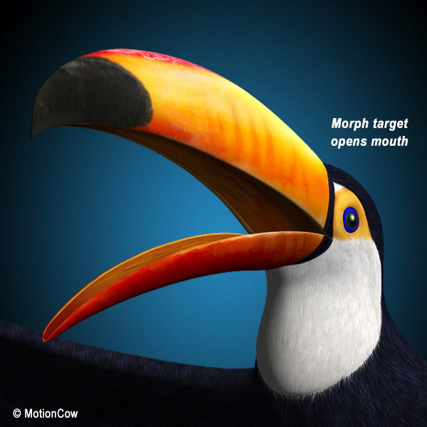 max flying toucan - Toucan A  ( Flying ) by MotionCow